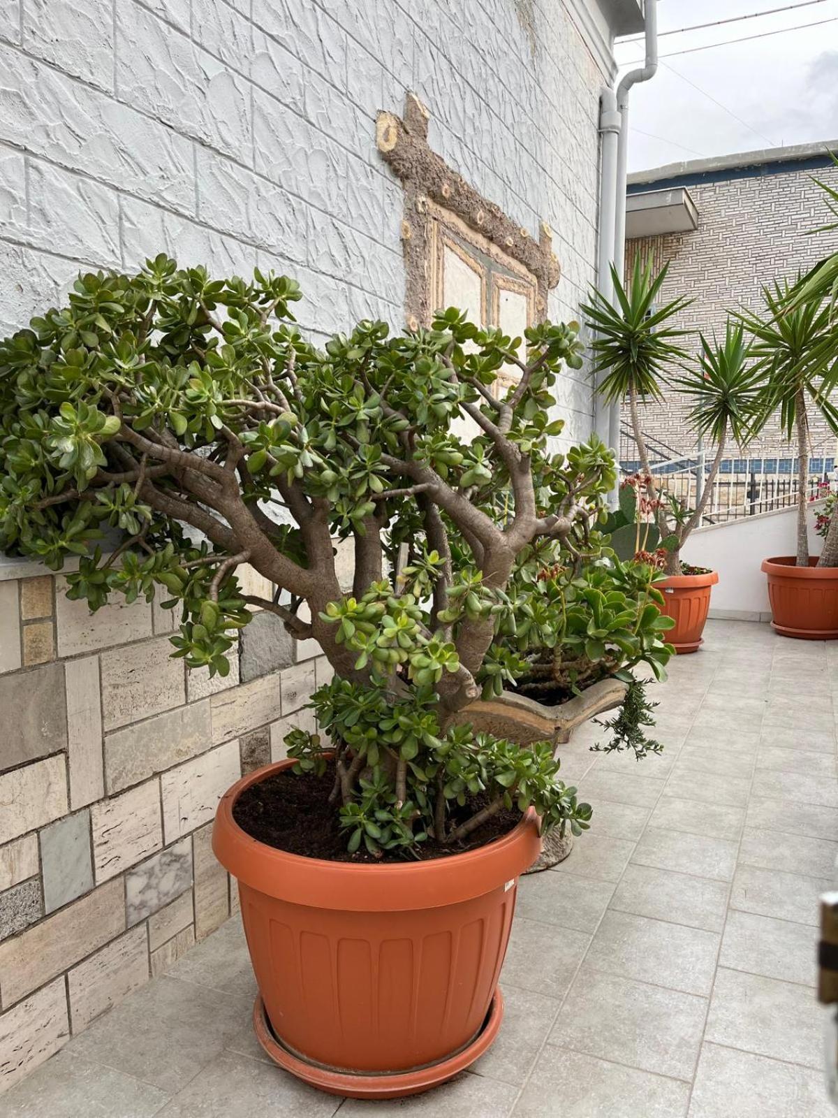 Casa Myda Apartment Bari Exterior photo